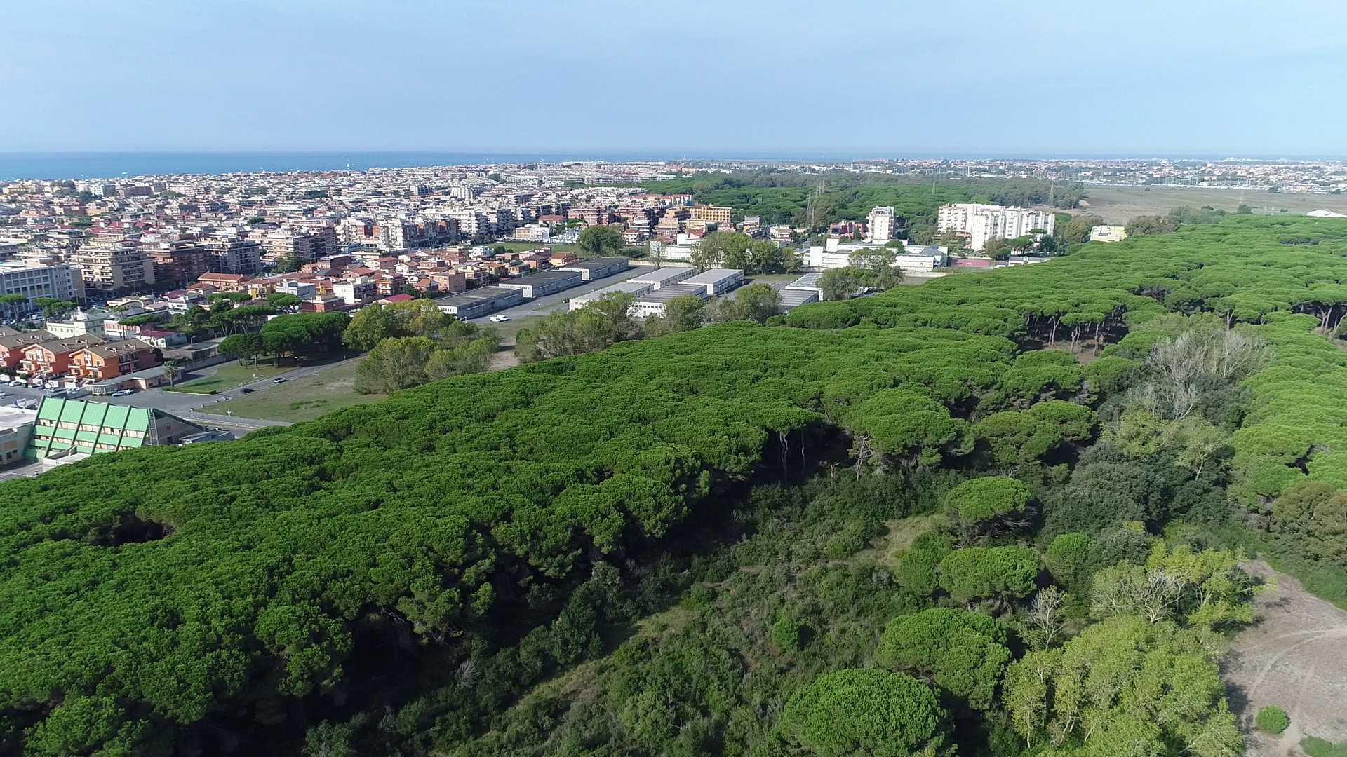 La tenuta di Procoio vista dal drone: tanta natura da difendere